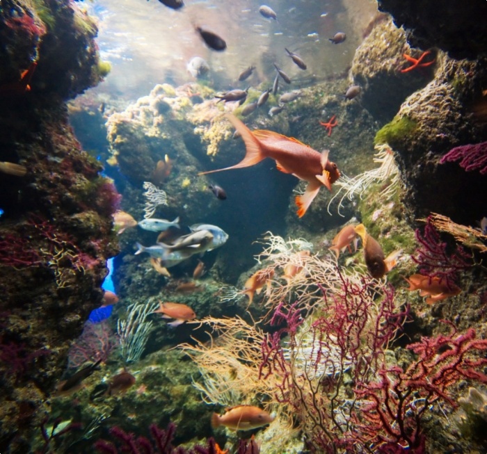 L'espace m&eacute;diterran&eacute;en