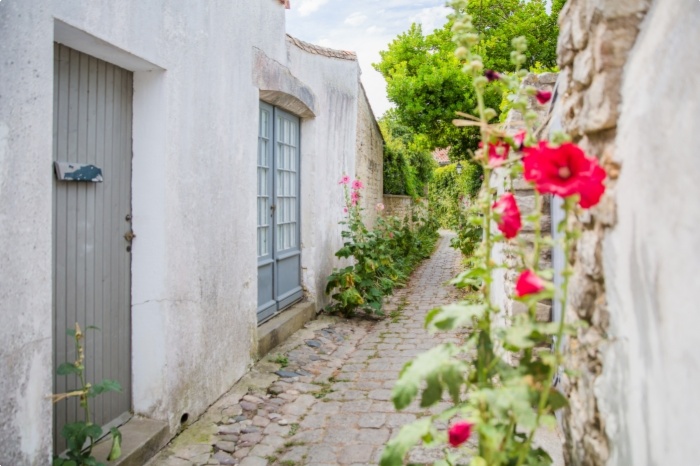 Camping L'Océan, île de Ré